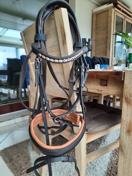 Warmbluttrense, English Warmbluttrense, Barbara Eisenberg, Bridles & Headstalls, Wuppertal
