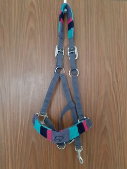 Warmblut Halfter Loesdau