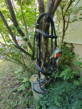 Kandarenzaum Warmblut Isabell Werth Waldhausen  Isabell Werth 