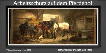 Webinar „Arbeitsschutz auf dem Pferdehof“, Sabine vom WSR-Team (Pferdebewusst-Lernen), Courses & Seminars, Nuthe-Urstromtal