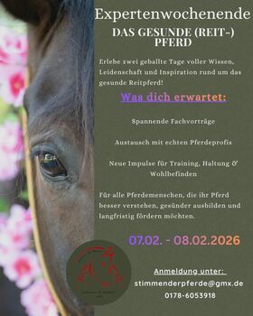Seminarwochenende, Expertenwochenende "Das gesunde (Reit-) Pferd", Lisa Walther , Kursy i seminaria, Aitrang