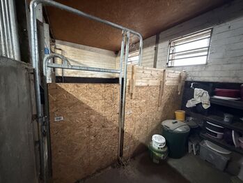 Weidepanel Trennwand mit Holz verkleidet