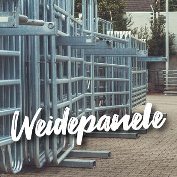 Weidepanele, Reiterlive, Reiterlive (Reiterlive), Electric Fencing Equipment, Eschweiler