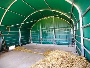 Weidezelt 6x6 m CT2020 – Stabiler Unterstand für Pferde, Schafe, Ziegen und Alpakas