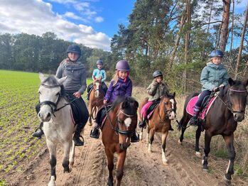 Welsh A Staatsprämienanwärterin 8J 1.22 Kinderpony, B.Heuer , Pferd kaufen, Celle 