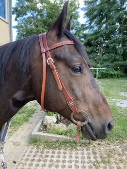 Western Zaumzeug mit Wassertrense von Qualcraft, Sandra  Kusiek , Bridles & Headstalls, Dachau
