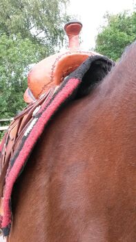 Westernsattel Kaltblut, breite Kammer, Cactus saddlery Texas Effx Trail pleasure , Frauke Morgenroth, Western Saddle, Tangstedt