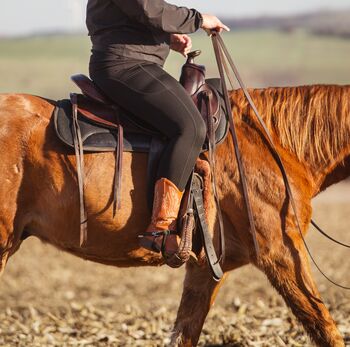 Westernsattel Deuber und Partner CL 1031 02, Deuber und Partner CL 1031 02 CL  1031 02, P. Seifarth, Western Saddle, Naumburg