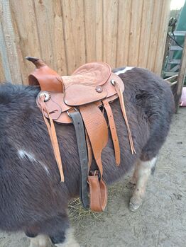 Westernsattel Shetty Pony Kinder, Gina , Western Saddle, Speichersdorf