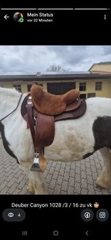 Westernsattel Deuber Canyon 1028 / 16 / 3, Deuber und Partner Canyon 1028 16 / 3 , Eli Frö, Western Saddle, Reckendorf