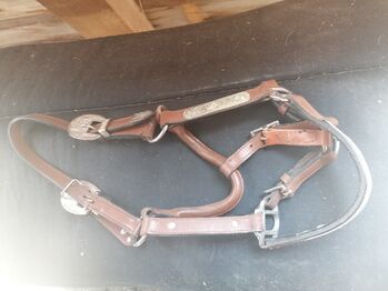 Western Show Halfter Jahrling, Sunbeam Ranch! , Halters, Kaufbeuren 