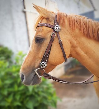 Westernshowtrense, Trense, Alina , Bridles & Headstalls, Greifswald