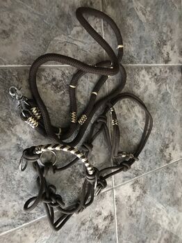 Western Side pull, Krämer, Lena Angleitner, Bitless Bridles, Teuflau