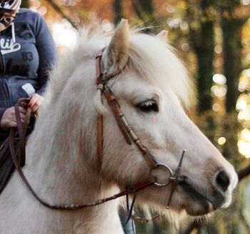 *°* Western * Einohrtrense * Westerntrense * beige * hellbraun * Kopfstück *°*, annadausac, Bridles & Headstalls, Aachen