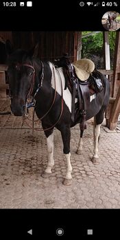 Westerntrense snaffle bit, Sabine Zabienski , Bridles & Headstalls, Hohenpeißenberg 