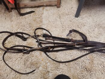 Western Trense mit gebisd, Moni, Bridles & Headstalls, Lengefeld 