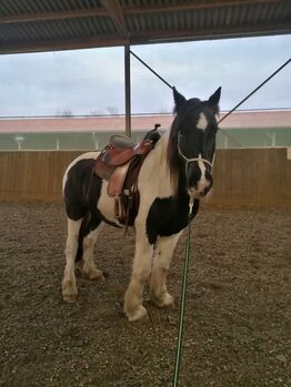 Westernsattel, Deuber quantum  Quantum, Inka Losensky , Western Saddle, Lehrte 