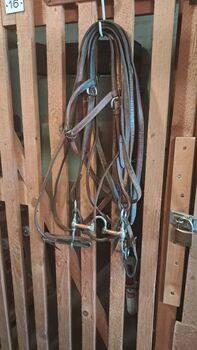 Westerntrense mit Gebiss, Tina, Bridles & Headstalls, Frankenthal (Pfalz)