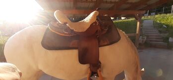 Westernsattel Equiflex Little Snake Dance super gepflegt Continental  Little Snake Dance Round Skirt