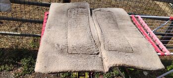 WESTERNPAD REINSMAN