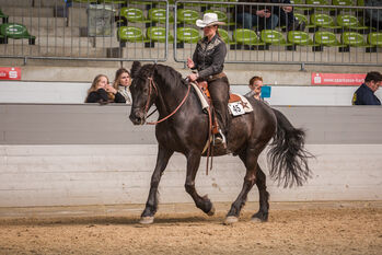 Westernsattel für breite Pferde zu verkaufen, EE Saddlery + Tack, Jutta Bunk, Westernsattel, Welle