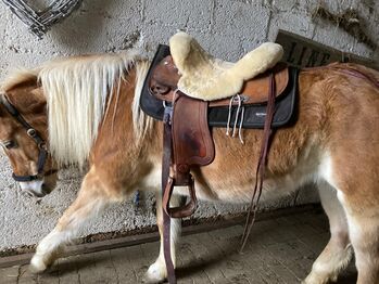 Westernsattel Continental Saddlery Co.