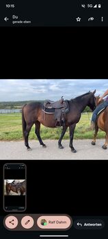 Westernsattel Freemax  Büffelleder (inkl. Pad und Sattelgurt) Freemax