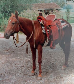 Western-Sattel Colorado Saddlery (Denver USA) Colorado Saddlery (Denver USA)
