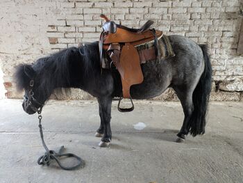 Westernsattel für Shetty/Pony