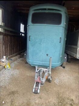 Westfalia Anhänger, Westfalia , Dorian, Horse Trailers, Emberg bei Bruck an der Mur