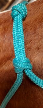 Knotenhalfter + Führstrick