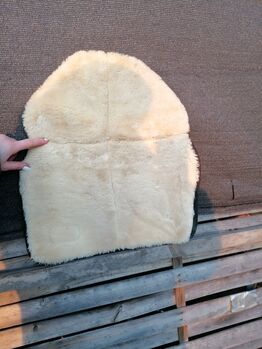 Widerrist Schutz, Kentucky, Muffin, Pferdedecken, Schwülper