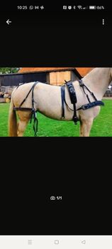 Kutschgeschirr für Pony der Firma Wieland, Wieland, Ann Christin Dankert , Horse Harness, Wrestedt