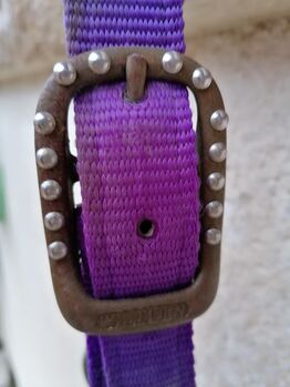 Wildhorn Halfter mit Strick