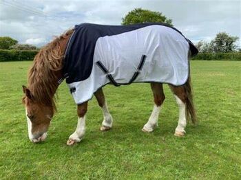 Windsor Jubilee showerproof fly rug 6', Windsor Jubilee, Samantha Guilfoyle, Fly & Insect Control, Crymych