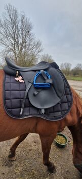 Wintec 2000 vs sattel 18 zoll schwarz, Wintec 2000, Lena, All Purpose Saddle, Stralsund