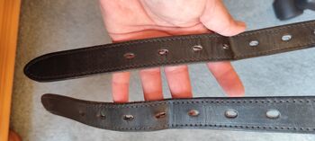 Wintec 500 Dressursattel 17,5" Wintec 500 Dressur