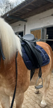 Wintec Vielseitigkeitssattel kaum benutzt 17,5 Zoll, Wintec Vielseitigkeitssattel , Marie, All Purpose Saddle, München