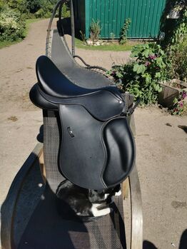 Wintec HART 500 Vielseitigkeit, Wintec HART 500 VS, Dana Reitemeyer, All Purpose Saddle, Haren