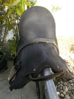 Wintec Pro Dressur 17,5 " Wintec Pro