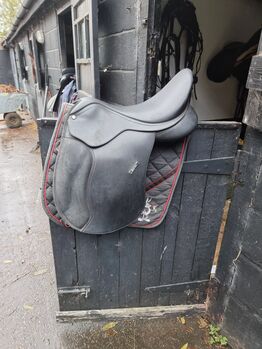 Wintec saddle, Wintec , Jade , All Purpose Saddle, Norwich