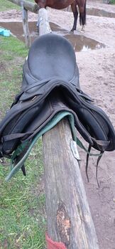 Wintec Sattel, Wintec, Melanie Sonntag, Dressage Saddle, Berlin