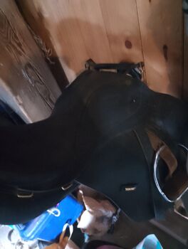 Verkaufe Wintec VS Sattel, Wintec, Nicole Meiners , All Purpose Saddle, Barßel