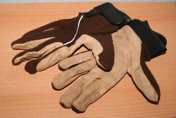 Winterreithandschuhe Gr. S, Baumann, Riding Gloves, Achern