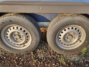 Wörmann Pferde Anhänger Memphis 2008 Wörmann Memphis 