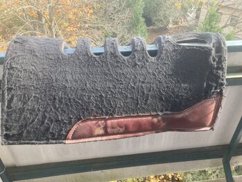 Wonpad Westernpad Wonpad 