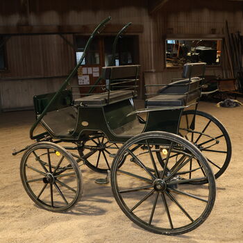 Kühnle Jagdwagen Ein/Zweispänner Scheibenbremsen Grün Kühnle Jagdwagen