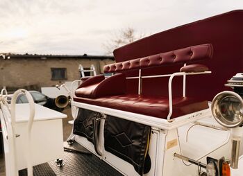 Vis a Vis Kutsche / Sonderanfertigung