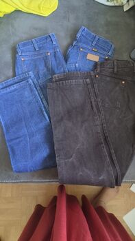 Wrangler Reitjeans Wrangler