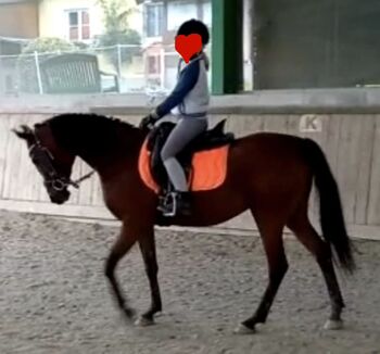 Feine Araber Prinzessin